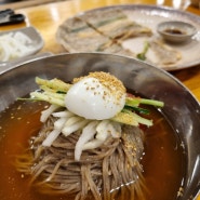 부산 근교 강아지랑 간절곶 해운대씨씨 근처 맛집 추천 강원도막국수