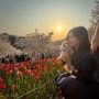 연희숲속쉼터 : 벚꽃 튤립 명소 서대문 안산 / 홍제천 폭포카페