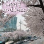 서울 벚꽃 봄데이트 하기 좋은 합정,상수역 일대