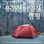 용문산 야영장, 용문산 관광단지에서 봄 캠핑 (용문사)