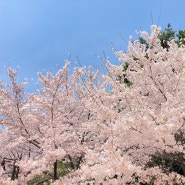 부산 정관 소두방공원 자연친화 놀이터 이용후기