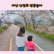 아산 신정호:)벚꽃놀이인가 산책인가