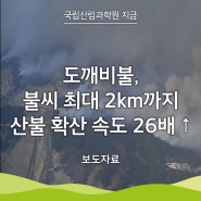 [국립산림과학원 지금] 봄바람 타고 나는 도깨비불, 불씨 최대 2km까지, 산불 확산 속도 26배↑