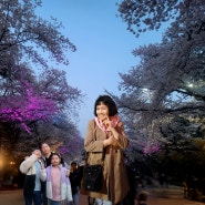 2024 벚꽃축제 - 경마공원