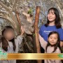 호주 시드니 자유 여행 페더데일 동물원 코알라와 사진 찍기 입장권 / 쿼카 만나기