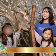 호주 시드니 자유 여행 페더데일 동물원 코알라와 사진 찍기 입장권 / 쿼카 만나기