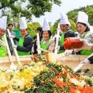 봄축제 가볼만한곳 4월 건강한 먹거리축제 2024 양평 용문산 산나물축제
