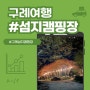 전남 구례 섬지캠핑장(4.9~4.10) 단풍 1사이트 이용후기