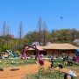 경기도 꽃구경 가볼만한곳 : 부천 자연생태공원 수목원 식물원