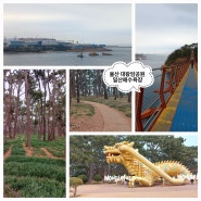 울산 대왕암공원&일산해수욕장