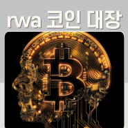 rwa 코인 대장 종류 2024년 주목해야 되는 이유