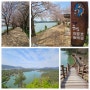 부산 금정 4월 산책 회동수원지 및 부엉산 전망대