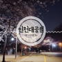인천 야간 벚꽃 명소 인천대공원 (퇴근 후 데이트)