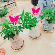 남양주 위례 성남 분당 서울 화일초등학교 병설유치원 홍콩야자 반려식물 양말토피어리 만들기