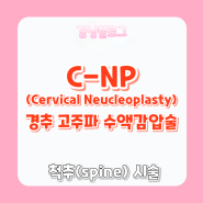 [신경외과 시술] C-NP(cervical neucleoplasty) 경추고주파수액감압술 경추시술 신경외과시술 스파인시술 디스크수액감압술