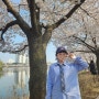 [수원 벚꽃놀이 명소] 만석공원_가족들과 피크닉 즐기기 좋은 벚꽃명소