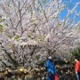 여수해상케이블카 이용시간 이용요금 거북선대교 일출정 벚꽃나들이 자산정류장 돌산정류장