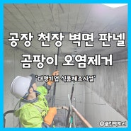 광주공장청소 식품공장 판넬 곰팡이 오염제거