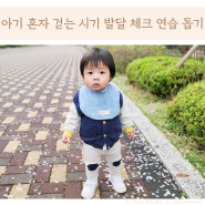 아기 혼자 걷는 시기 첫걸음마 시기 연습 돕는 방법 발달 체크