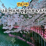 전남 나주 한수제 벚꽃 야경 데이트 주차 정보