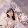 연희숲속쉼터와 서울 숨겨진 벚꽃 명소들 피크닉 가능 장소 추천