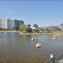 김포 호수 공원, 김포 아이와 봄나들이 가볼만한 곳