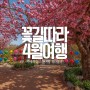 4월에 가볼만한 곳:) 꽃길 따라 봄여행_경주 금장대 순천 선암사