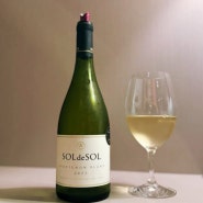 칠레 와인의 숨은 보석 - SOLdeSOL Sauvignon Blanc 2023