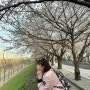 Best Spot to See Cherry Blossoms at Dorimcheon