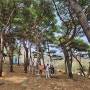 경기도 양평 쉬자파크 아이랑 숲 놀이터 나들이 추천