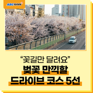 "꽃길만 달려요" 벚꽃 만끽할 드라이브 코스 5선!
