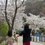천안 아우내 관광농원 캠핑장 2박 3일 벚꽃과 함께.