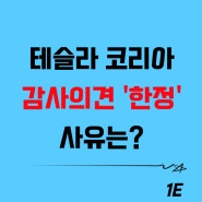 테슬라 코리아, 감사의견을 '한정' 받은 사유는?