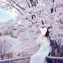 서울숲 벚꽃 구경 사슴방사장 옆 인증샷 사진찍는 장소