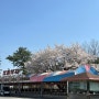 [임진각 카페] 서울 근교 나들이/드라이브 포비 평화누리 카페
