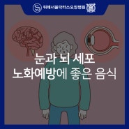 성남 위례요양병원 눈과 뇌 세포 노화예방에 좋은 음식