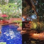 방콕 쉐라톤 그랜드 스쿰빗 호텔 수영장의 낮과 밤 그리고 스파