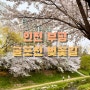 인천 부평 벚꽃 명소 굴포천벚꽃길, 굴포공원