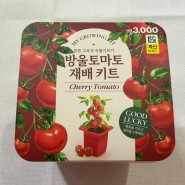 [내돈내산] 취미생활 가능한 다이소 방울토마토 재배 키트