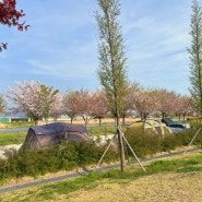 부산 노지캠핑 가능한 녹산고향동산 텐트 사용 가능해