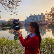 |김천봄여행, 연화지+태산면옥| 확실히 낮보다 밤이 이쁜곳, 김천에서 제일빨리 벚꽃이 사라지는 곳