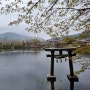 뒷북 후쿠오카 여행기 2편(2023년 3월) 다자이후 유휴인 벳푸 버스투어, 야끼니쿠