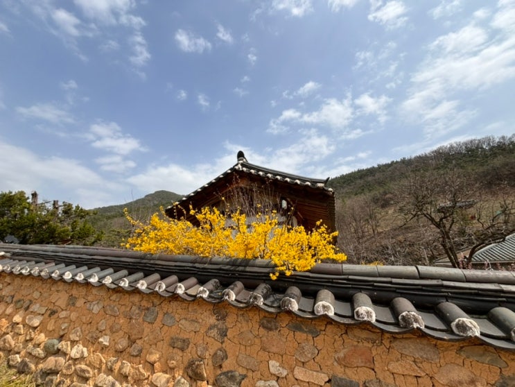 대구 가볼만한곳 산책하기 좋은 옻골마을