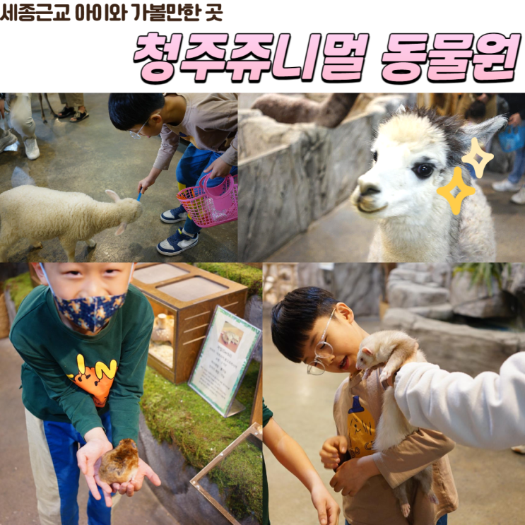 세종근교 청주 아이와 가볼 만한 곳 쥬니멀 동물원