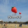 경기도 아이랑 가볼만한곳 시흥 갯골생태공원 벚꽃 주차정보