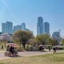 서울 데이트 추천 여의도 한강공원 자전거 대여 후기
