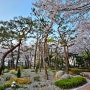 영등포 벚꽃 산책 장소 주차장 가볍게 둘러보는 당산공원