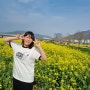 노랑빛 유채꽃 가득! 부산 대저생태공원 봄나들이