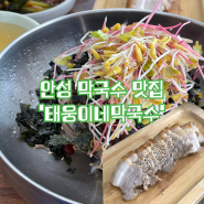 안성 매콤달콤 막국수 맛집 | 태웅이네막국수와 태웅이네촌다방