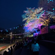 양재천벚꽃등축제 즐길 수 있는 숨은 서울 벚꽃 명소 위치 및 개화시기